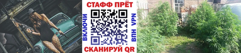 Купить ГАШ  Кокаин  МЕФ  СОЛЬ  Конопля  Яровое