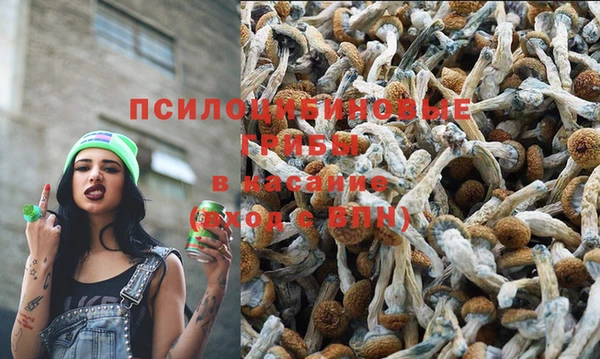 mdpv Бугульма